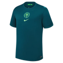 Camisa Seleção Nigéria Away 25/26 Torcedor Masculina